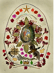 Abundance Despacho