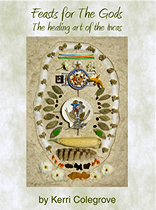 Feast for the Gods eBook Cover