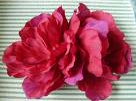 Picture of a Pinkish Red Flower