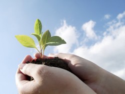 Growing Ideas