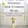 Dogs That Know When Their Owners Are Coming Home By Rupert Sheldrake