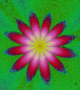 Fractal Flower