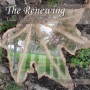 Piano Solo Artist: Isaac Shepard CD, The Renewing, Both Soothing and Uplifting for the Spirit