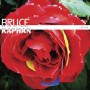 Hybrid by Bruce Kaphan a Unique Pedal Steel Guitar Style CD