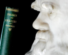 Darwinism and Getty