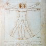 Online Resource Helps Students Excel at Learning Anatomy