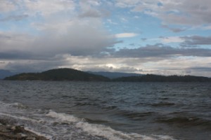 Hollyhock Beach View
