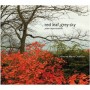 Beautiful Solo Piano Album: Red Leaf, Grey Sky by Catharine Marie Charlton