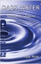 Bookcover of Dark Water