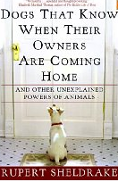 Dogs That Know When Their Owners Are Coming Home Bookcover