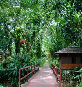 Tao Garden Thailand
