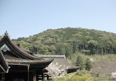 Japanese Village