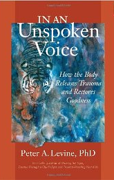 Book Cover for In An Unspoken Voice