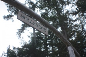 Road Sign for Hollyhock