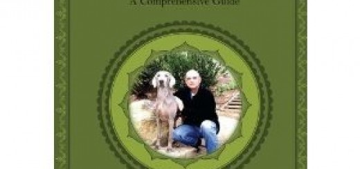 DVD Cover for Therapeutic Holistic Dog Massage
