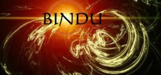 Michael Brant DeMaria's Bindu Album