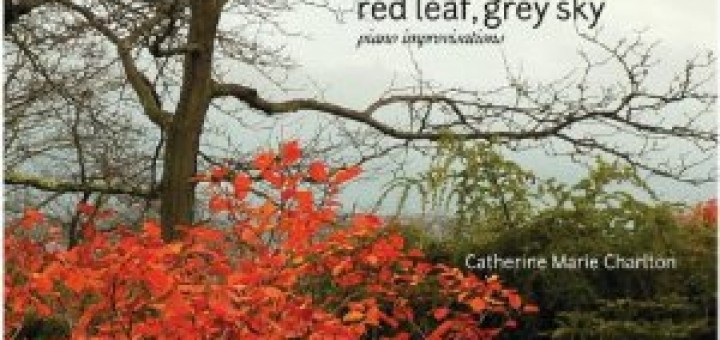 Red Leaf, Grey Sky